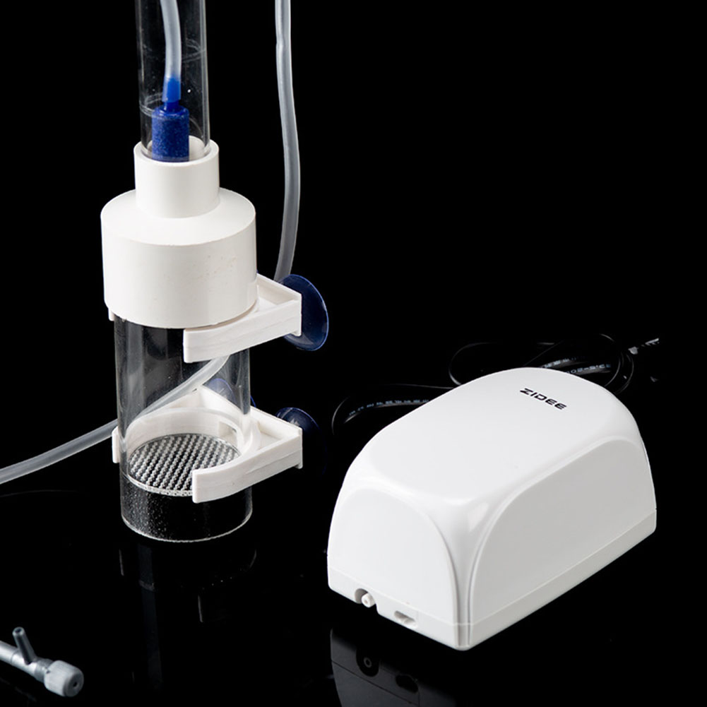 Incubatrice per uova di pesce  - Lab Incubator recensione e prezzo