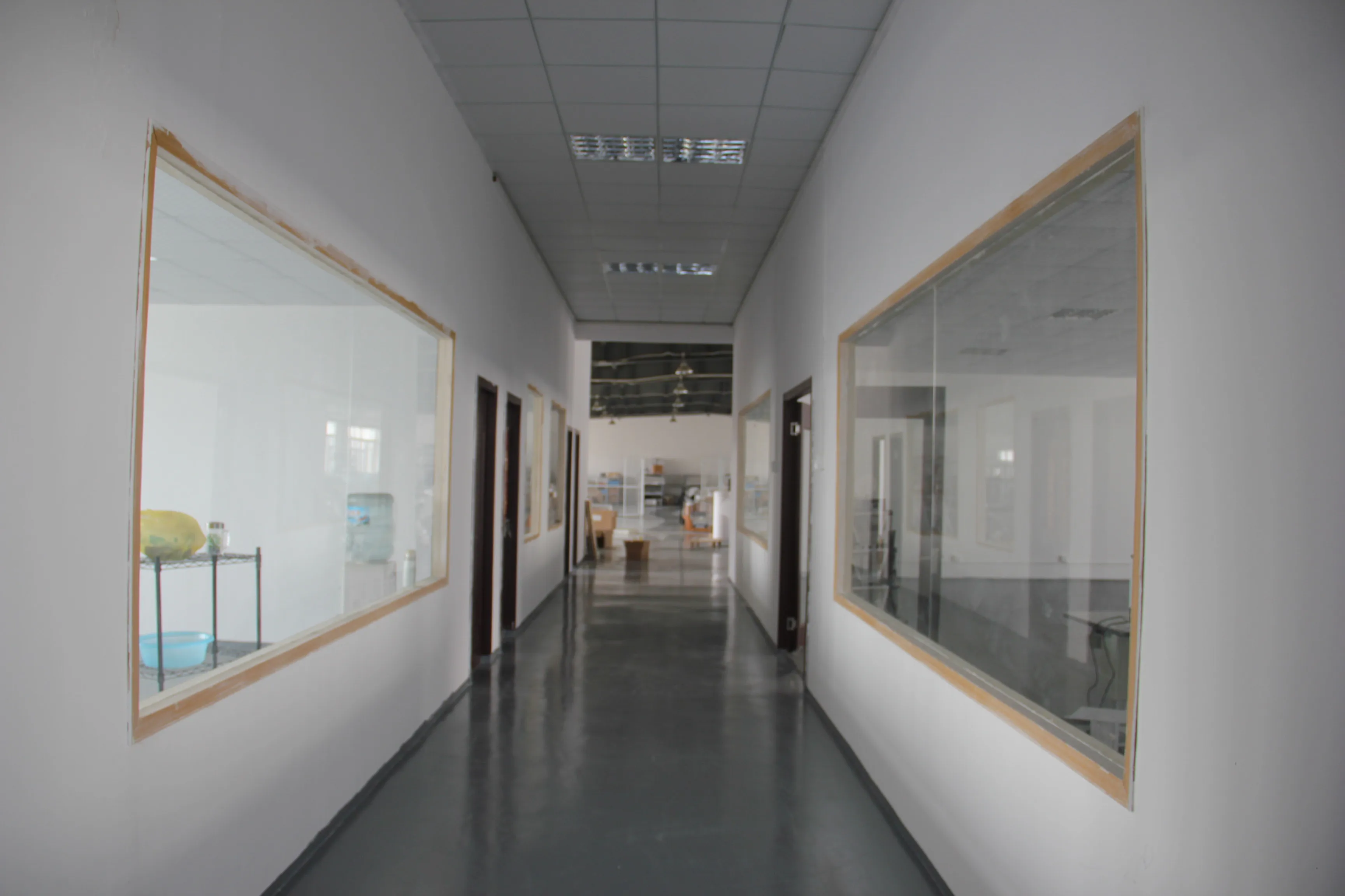 Tomografia a Coerenza Ottica A - Medical Lab Images recensione e prezzo