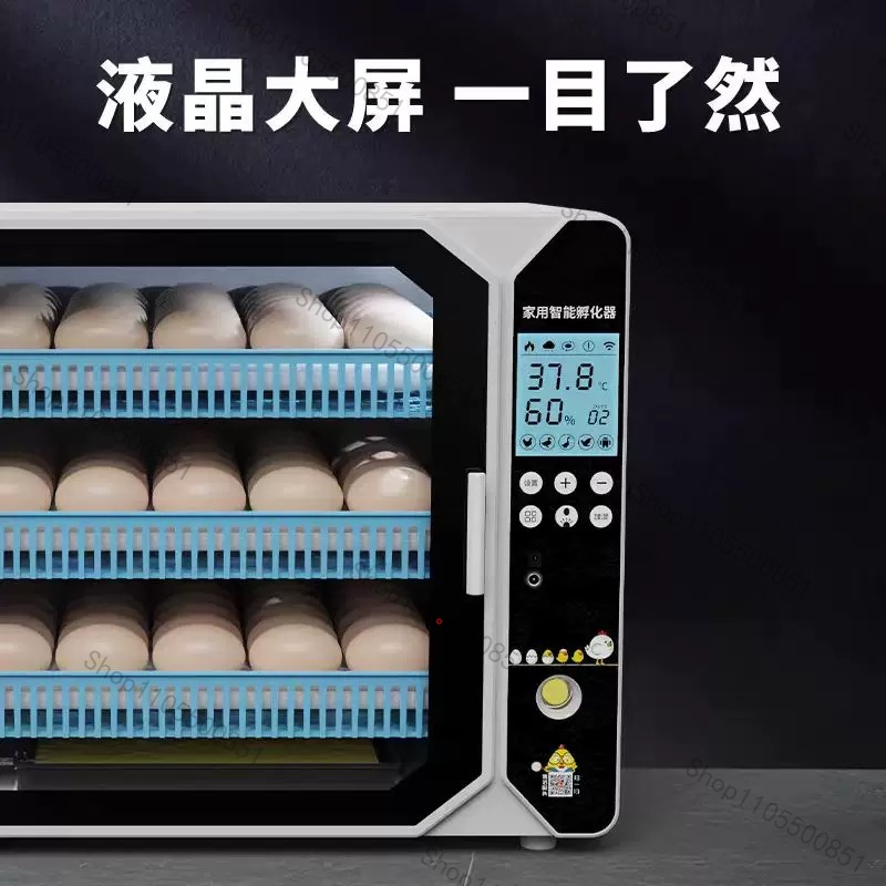 Incubatrice Automatica di Alta - Lab Incubator recensione e prezzo