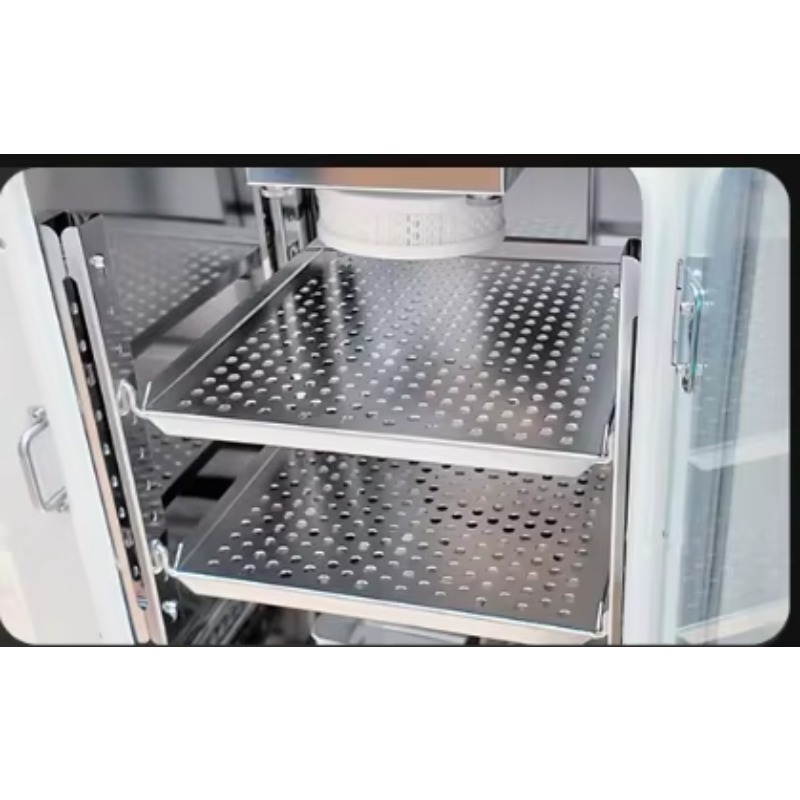 Incubatore CO2 Professionale a - Lab Incubator recensione e prezzo